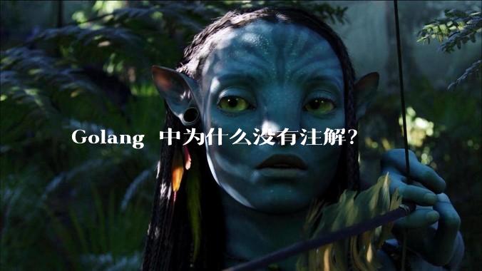 Golang 中为什么没有注解？