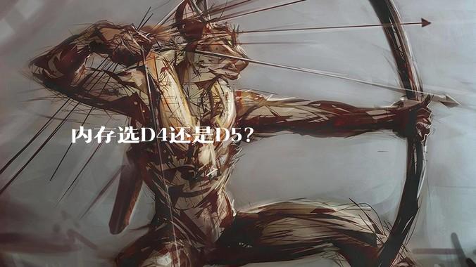 内存选D4还是D5？