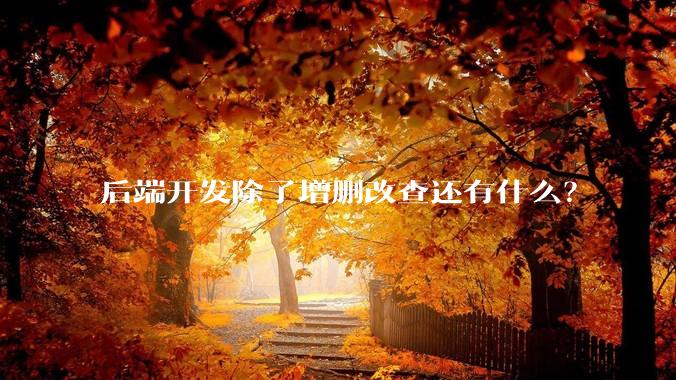 后端开发除了增删改查还有什么？